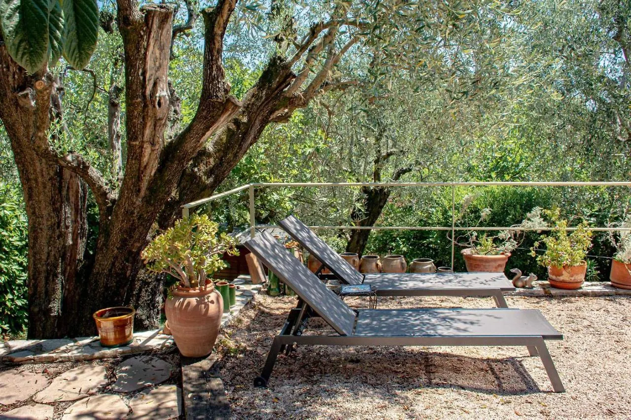 Le Clos Des Oliviers Le Rouret Bed & Breakfast